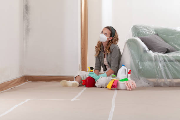 Reliable Mold Removal contractor in The Colony, TX by Car Mold Remediation